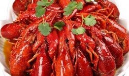 龙虾商家爆料怎么做视频,视频制作攻略全解析